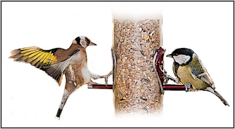 Feeder-.jpg