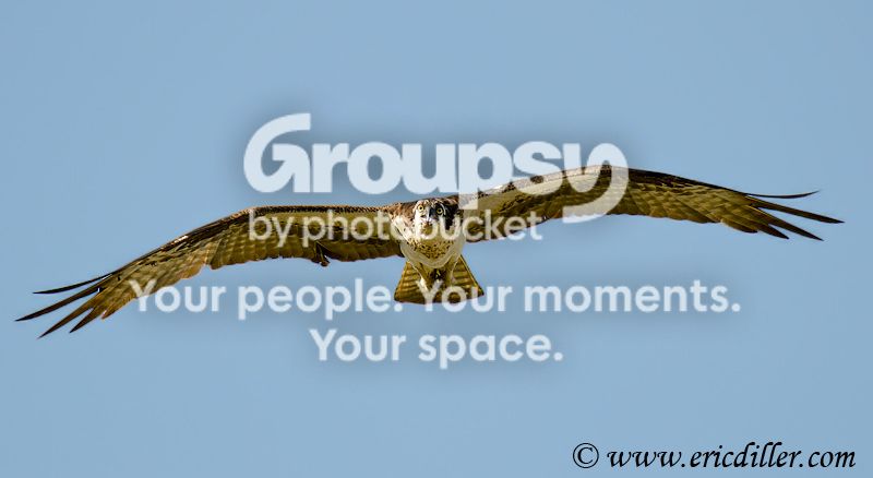 _ECD4899-copy800.jpg