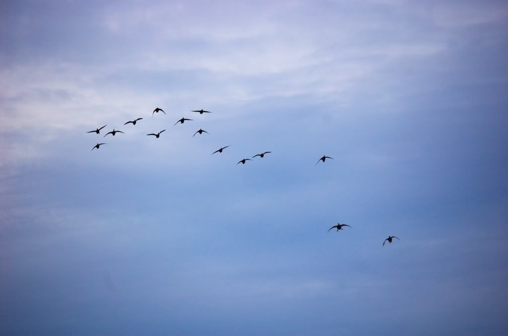 DSC_5254.jpg