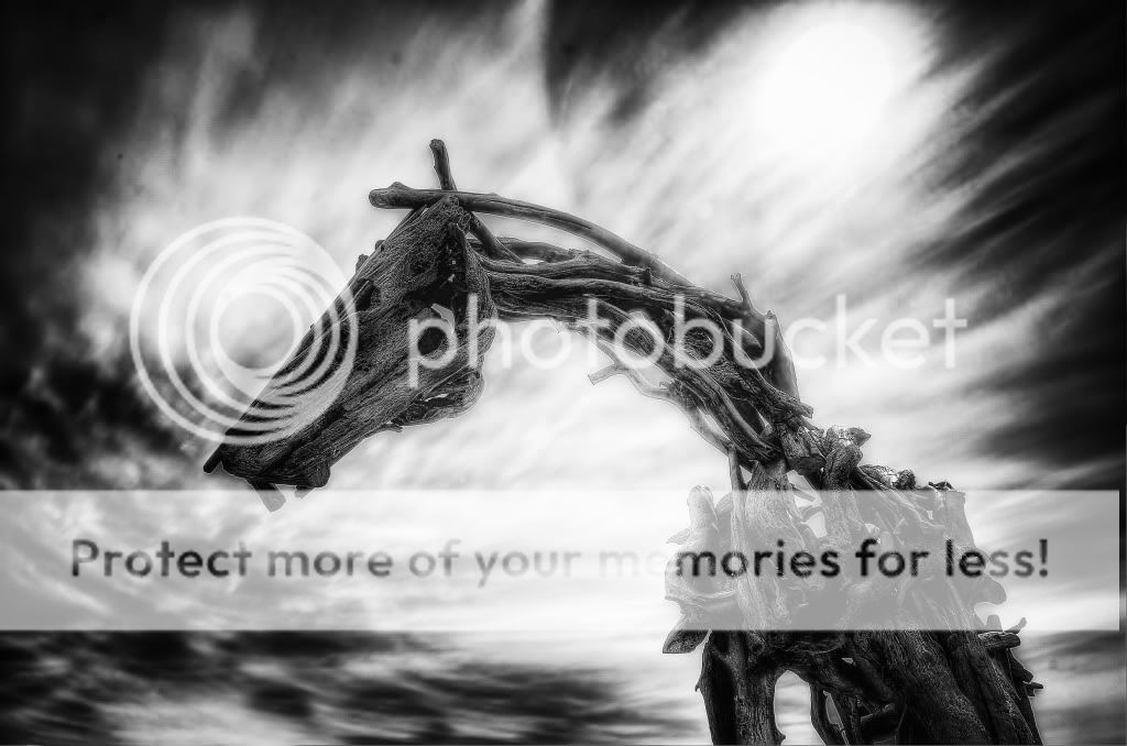 bw.jpg