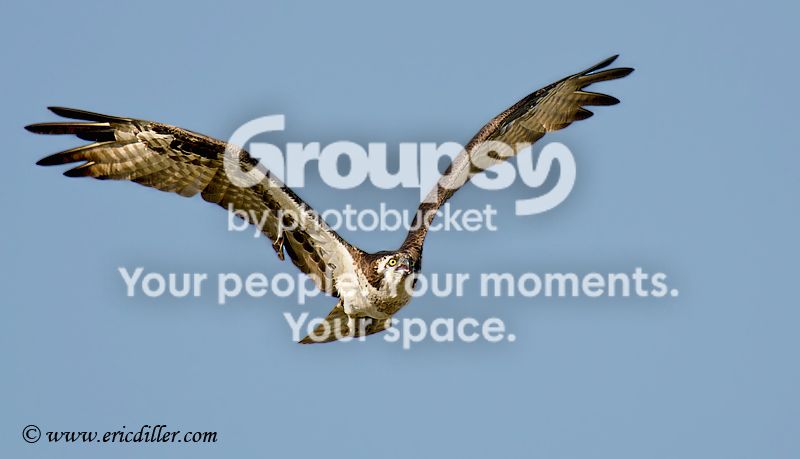 _ECD4848-copy800.jpg