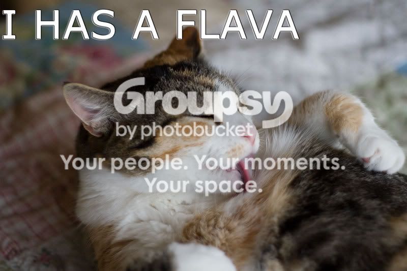 Lulu-has-flava.jpg