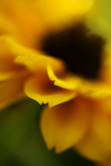 4959919389_9030b67308_z.jpg