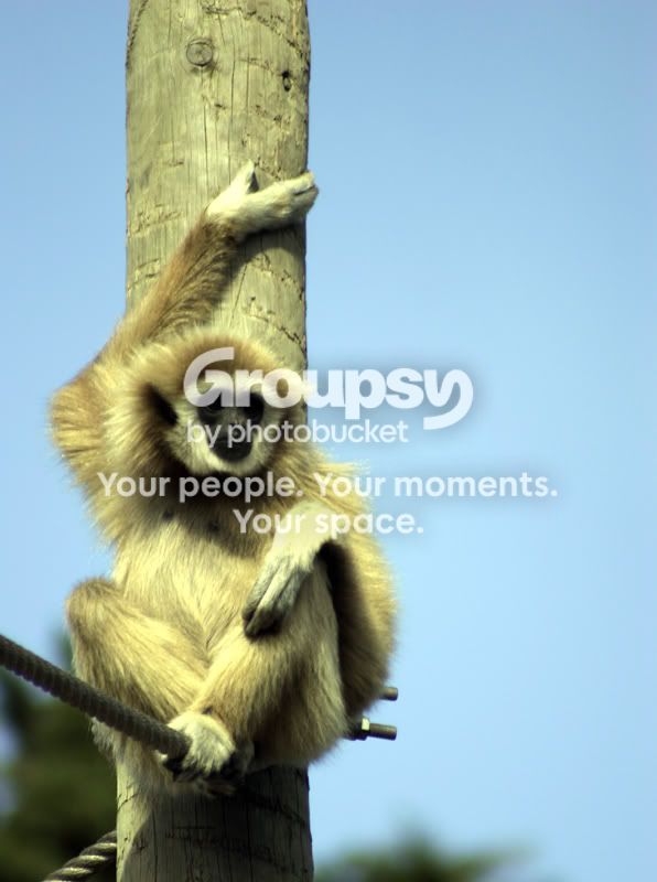 IMG_4151resize.jpg