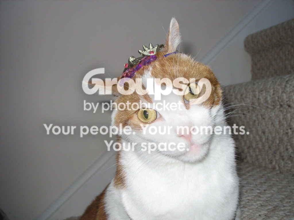 Picturew0082.jpg