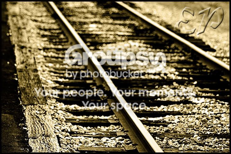 Train-1.jpg