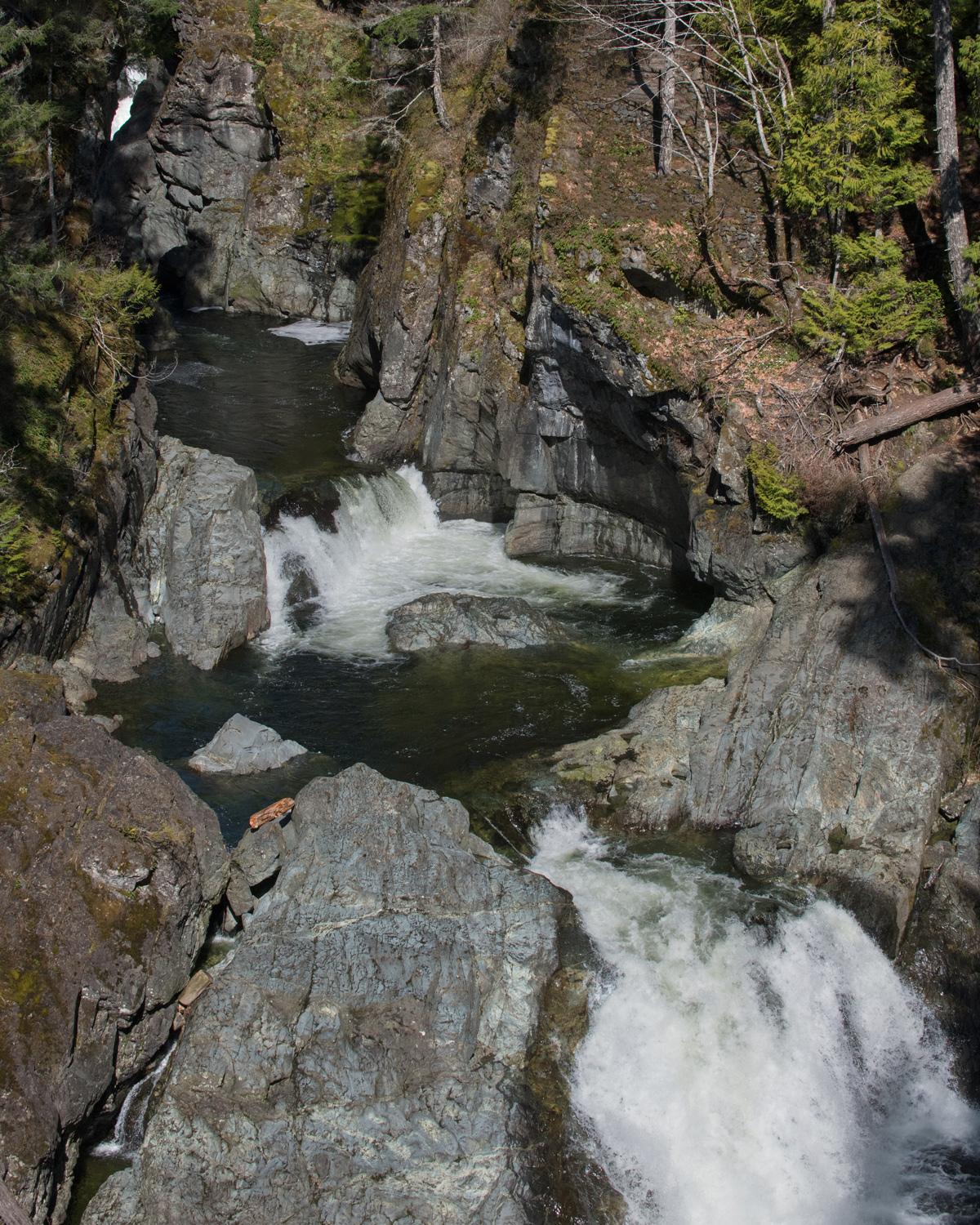 Sooke_River_Gorge_WEB.jpg