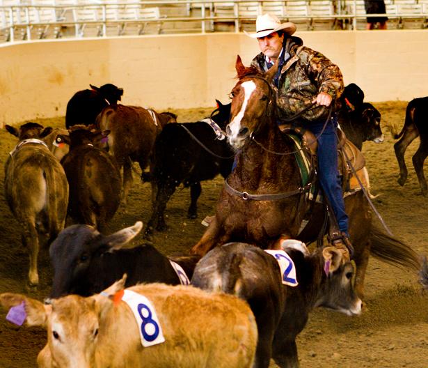 Penning%20-%202-L.jpg
