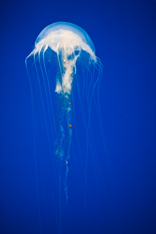 5881027259_f06d4ea972_b.jpg