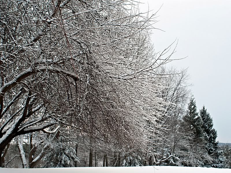 P1050115sm.jpg