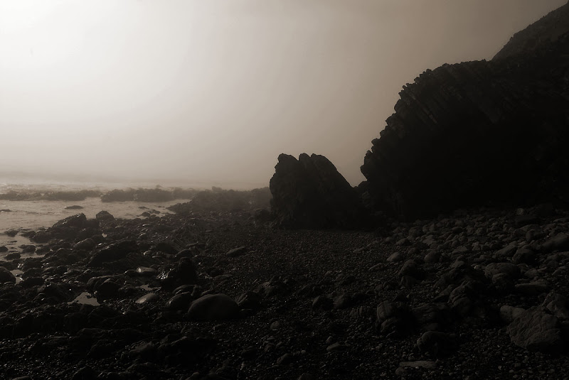 rock%20beach%20sepia.jpg