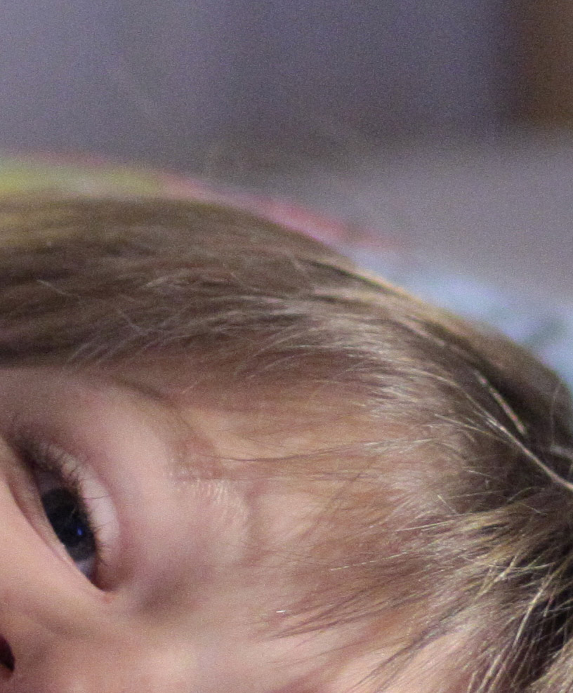 crop3200.jpg
