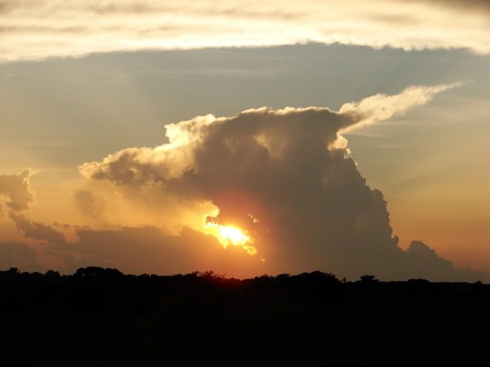 sunset2.jpg