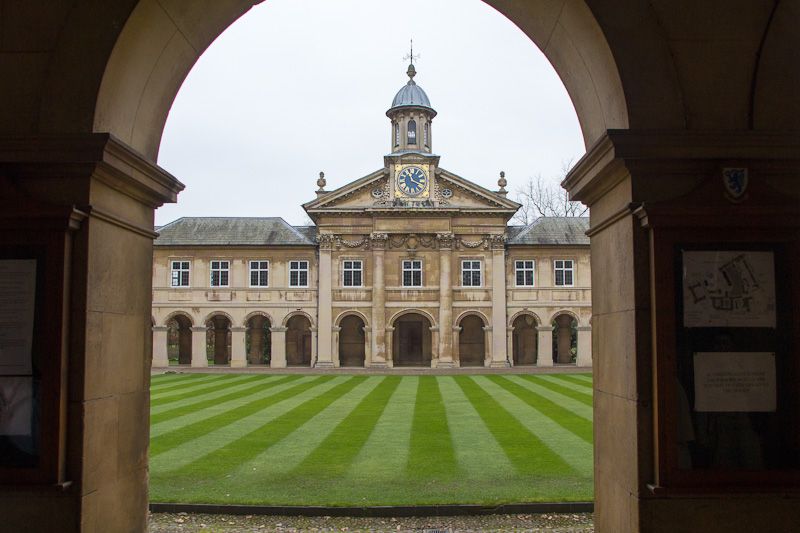 lawn-1.jpg