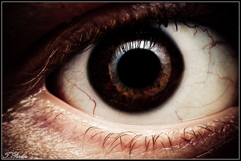 347708207_QkTG4-L.jpg