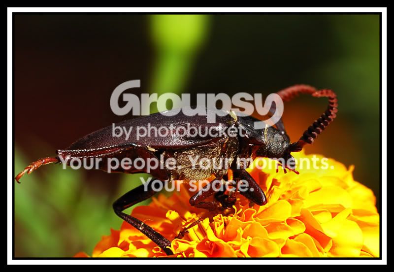 2008-08-09_11web.jpg