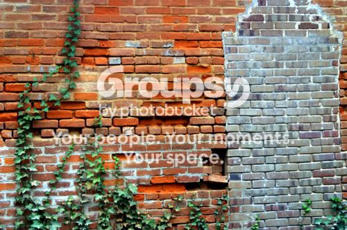 bricks5w.jpg