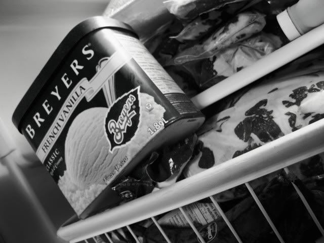 100_4513icecream.jpg