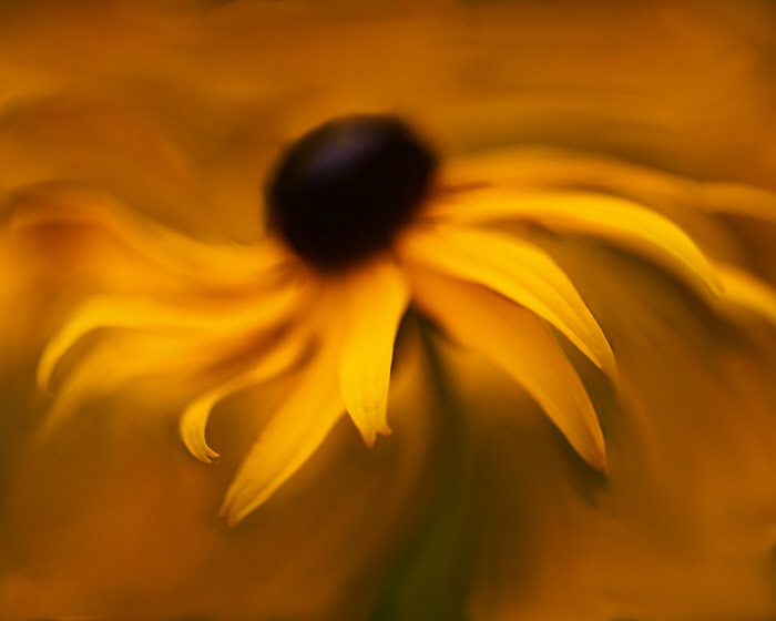 9387778262_aaa57bb48e_b.jpg
