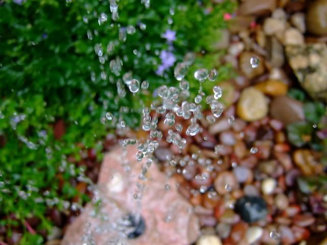 DSCF0498.jpg