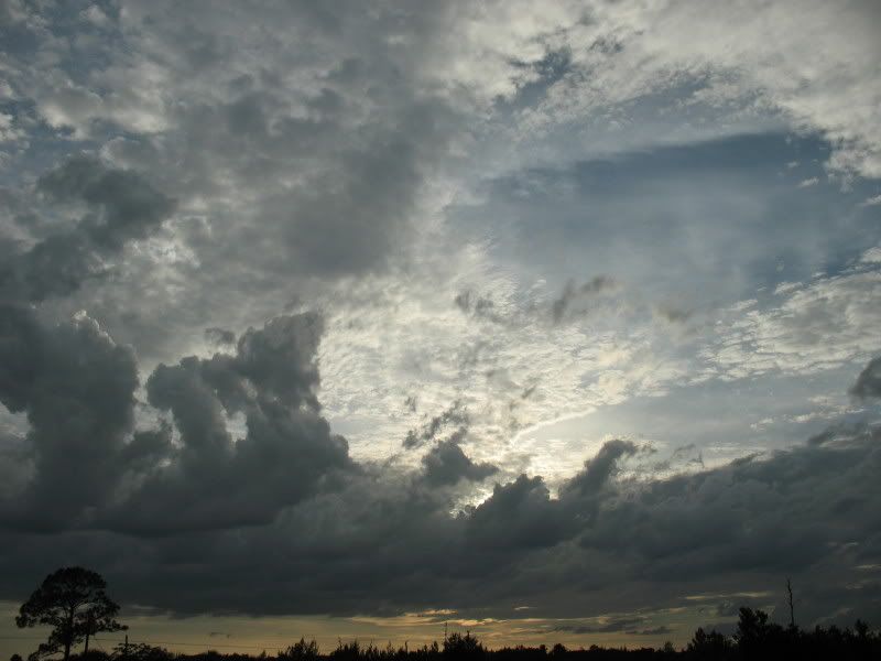 IMG_3371.jpg