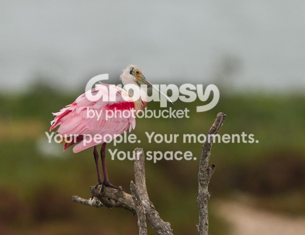 image_zps0b1550f4.jpg
