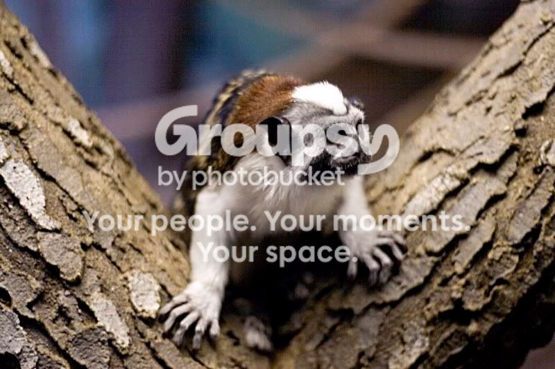 _MG_6120.jpg