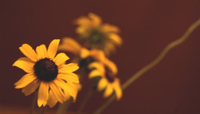 flowersontable0002_1.jpg