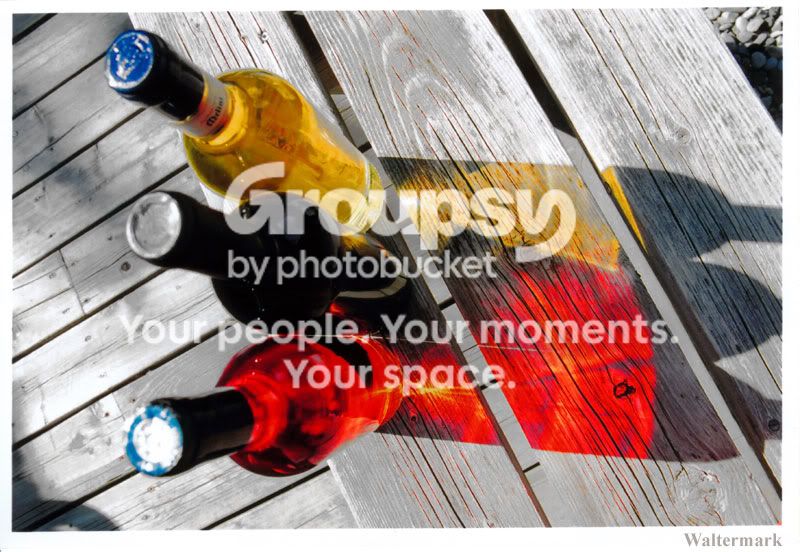 bottles-processed.jpg