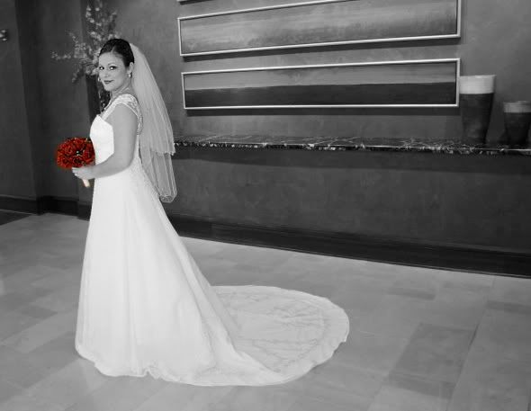 IMG_626222copy.jpg