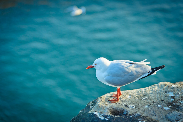 8241426492_3533a72416_z.jpg