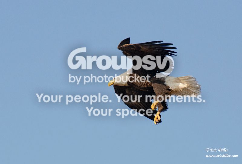 ECD_3367copy.jpg