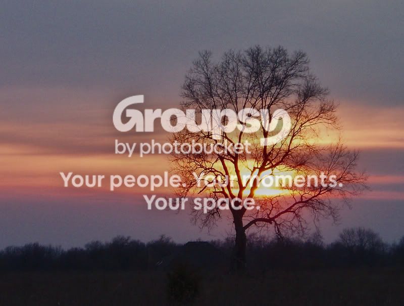 Sunset.jpg