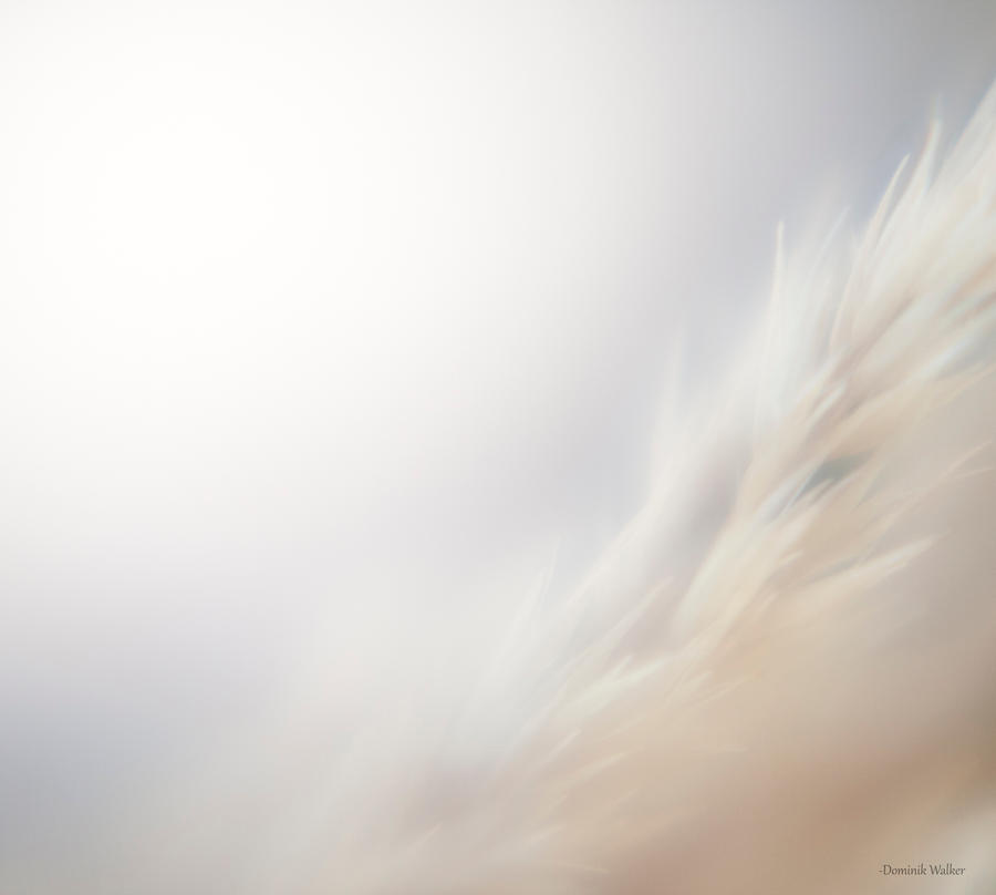 up_close_ii_by_delosphotos-d46x93g.jpg