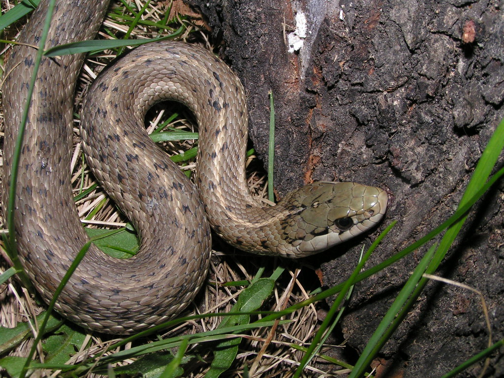 2504622008_2501eab7ee_b.jpg