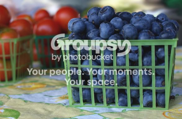 PPfavFarmer2.jpg