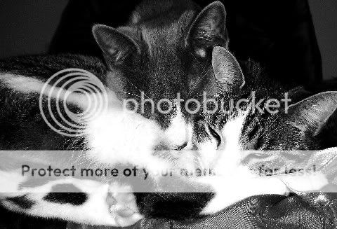 MotherandSonbw.jpg