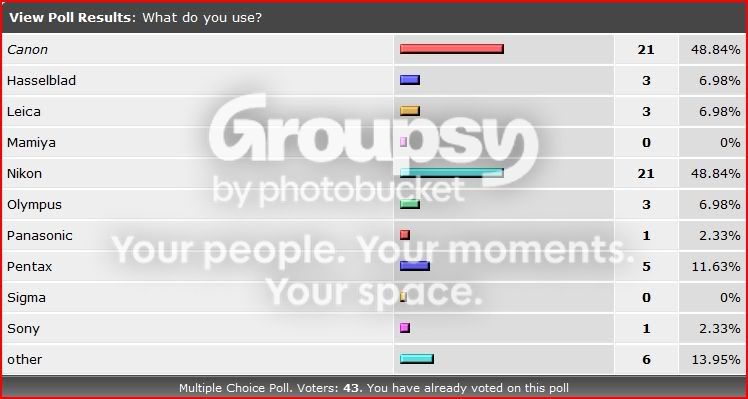 poll.jpg