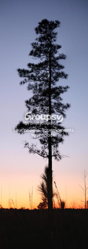 Untitled_Panorama1.jpg