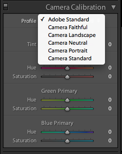 adobe_settings.png
