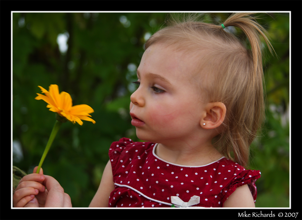 1800099150_40ba541331_o.jpg