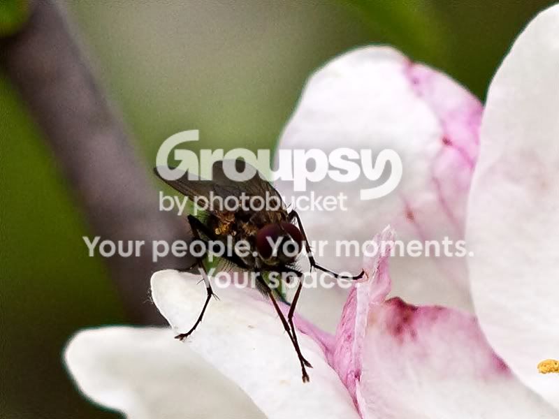 crop-1060327sm.jpg