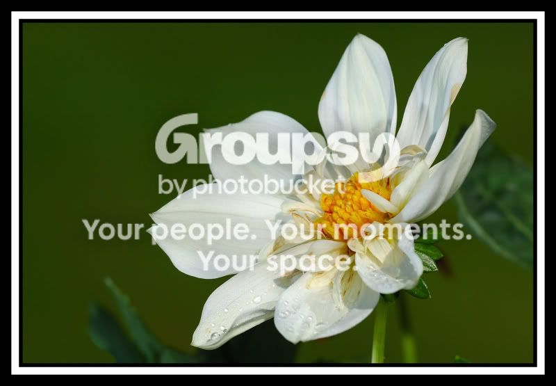 2008-05-31_5web.jpg
