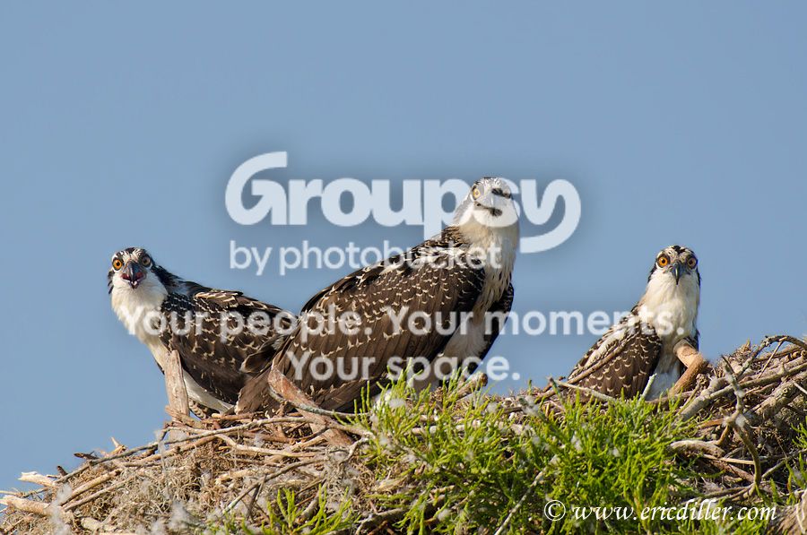 _ECD7384-copy900.jpg