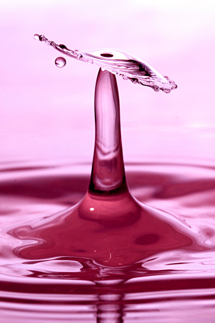 6757960075_477f53a9a1_z.jpg