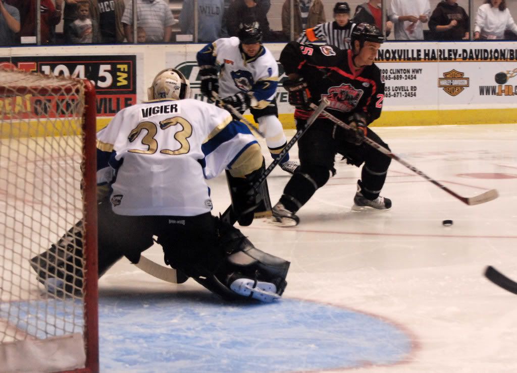 IceBears020.jpg