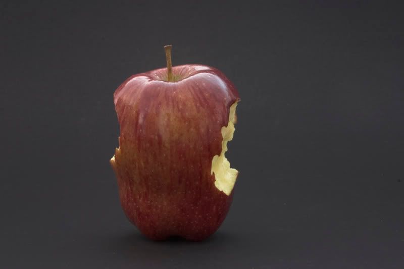 bite3.jpg
