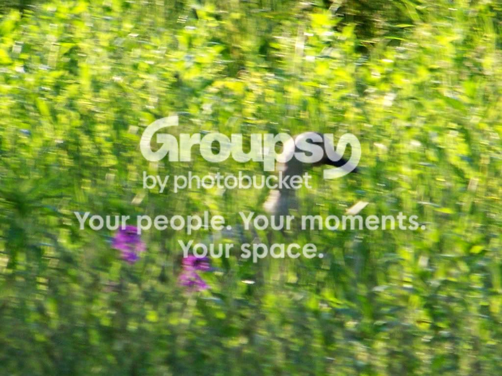 100_3679.jpg