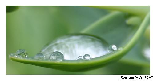 25juni2007-droplets.jpg