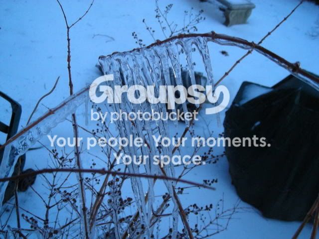 DSCN0588.jpg